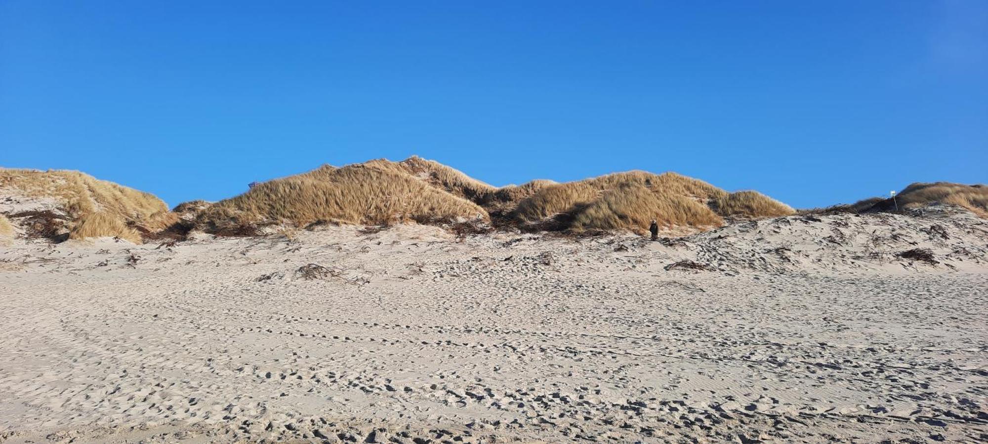 Gadegaard Apartment Ringkøbing المظهر الخارجي الصورة