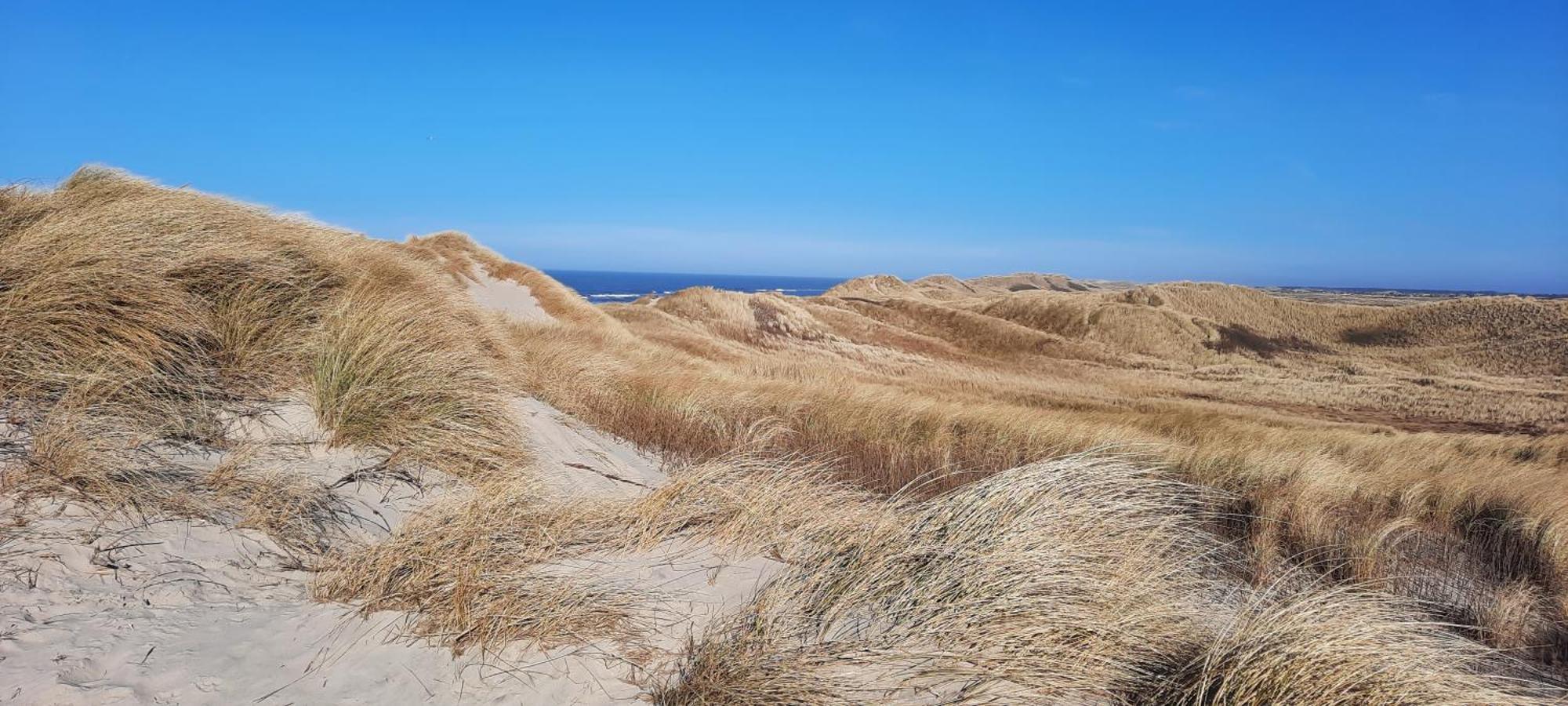 Gadegaard Apartment Ringkøbing المظهر الخارجي الصورة